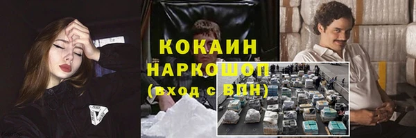 дурь Ельня