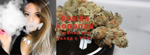 стаф Елабуга
