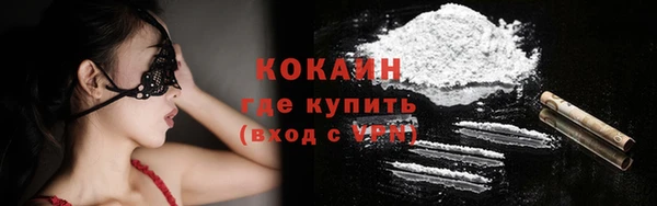 дурь Ельня
