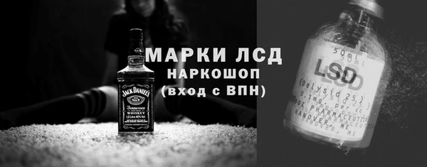 стаф Елабуга