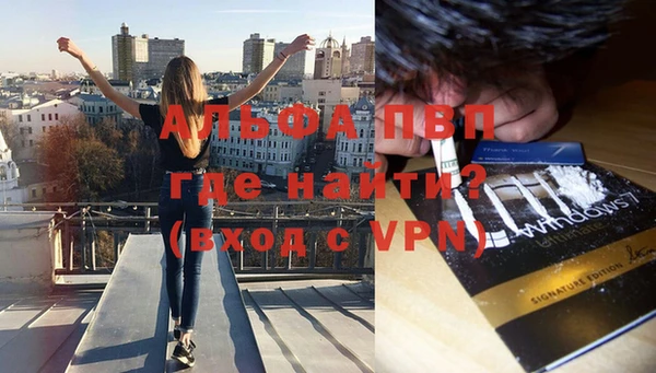 стаф Елабуга