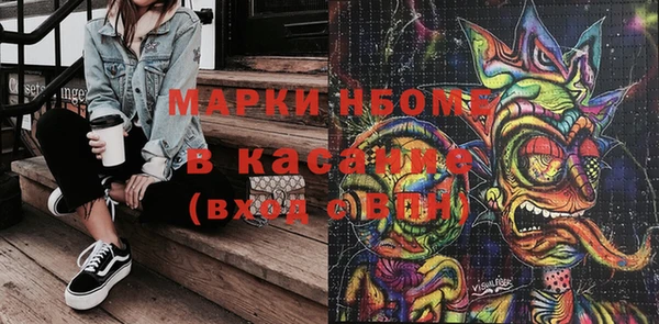 стаф Елабуга
