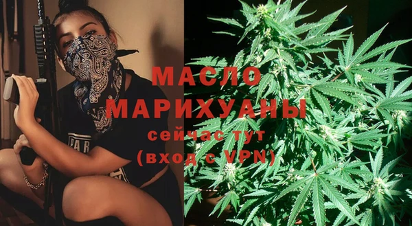 стаф Елабуга