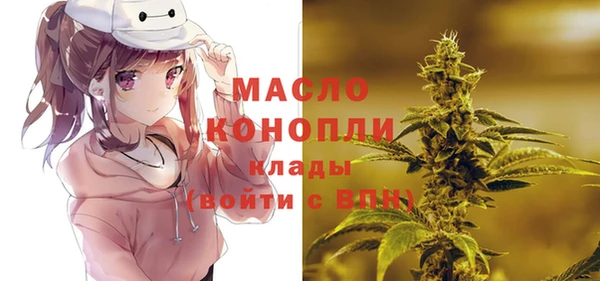 стаф Елабуга