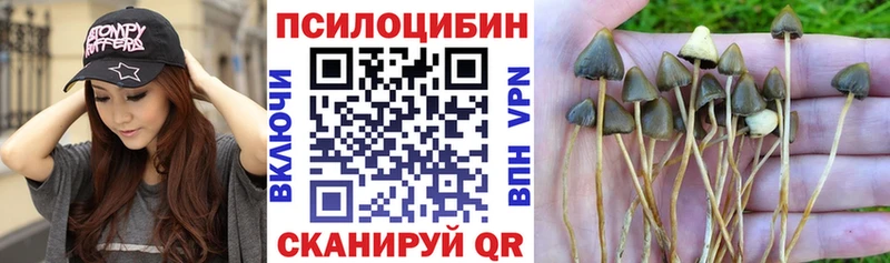 shop какой сайт  Находка  Псилоцибиновые грибы MAGIC MUSHROOMS  кракен ТОР 